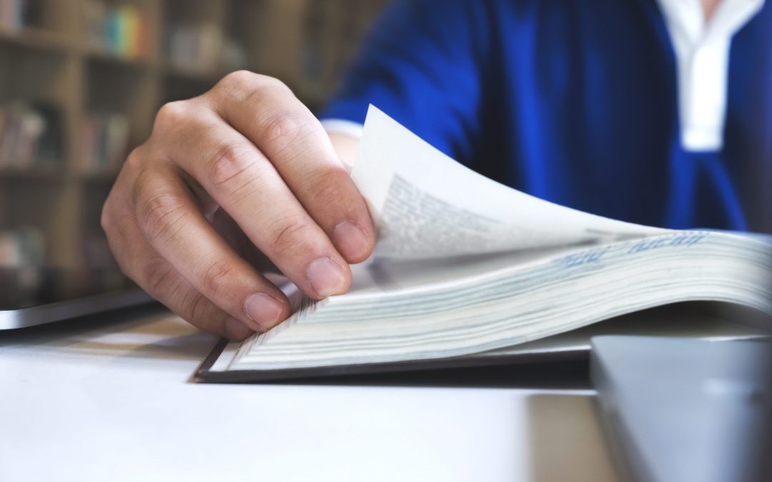 BIM DICTIONARY: La lingüística también importa, por David Barco